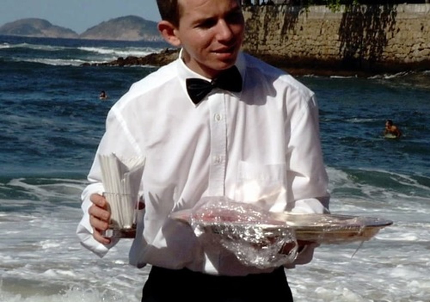 <p>server, waiter (not camarero)</p>