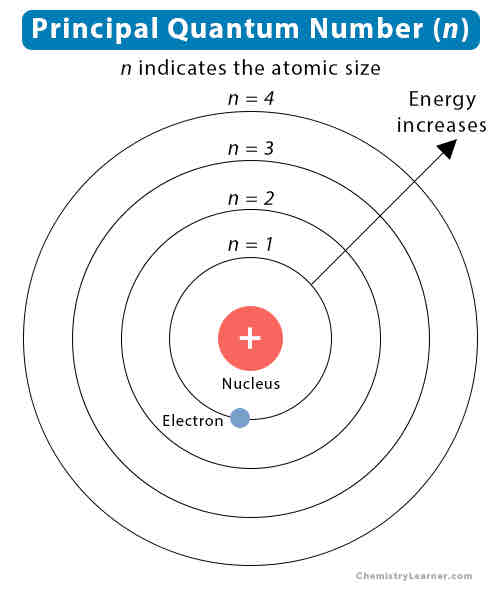<p>Energy increases</p>