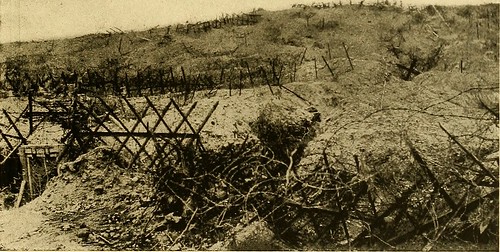 1 million American soldiers fought in the final Allied offensive. Heavy German fire killed more than 100,000 Americans, but in the end, the Allies were victorious.