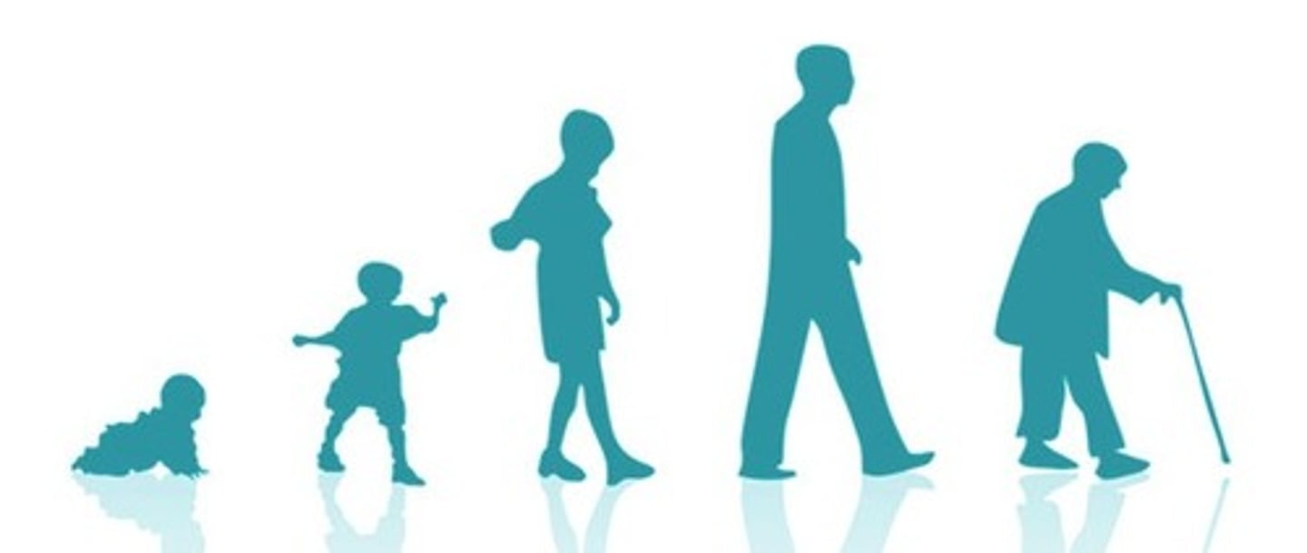 <p>протягом усього життя</p>