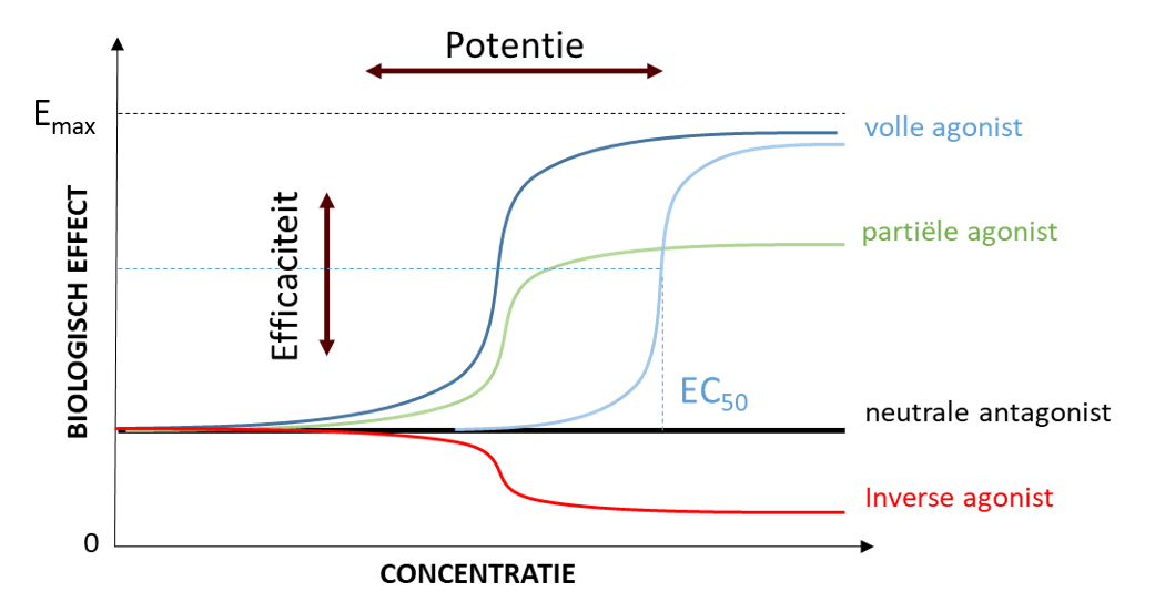 <p>Deze grafiek geeft het biologisch effect weer in functie van de concentratie van een geneesmiddel. Wat is <strong>efficaciteit</strong>?</p>