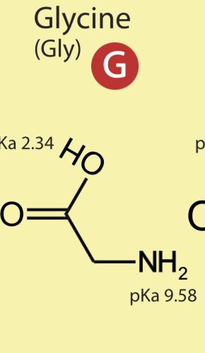 <p>non polar hydrophobic</p>
