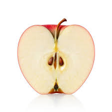 <p><span style="background-color: transparent;"><span>fleshy fruit consists outer fleshy layer and a central core (w/ multiple seeds)</span></span></p>