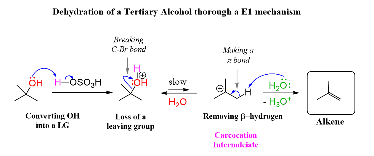 <p><strong>STARTING MATERIAL: </strong>tertiary alcohol</p><p><strong>REAGENTS: </strong>heat, H2SO4</p>