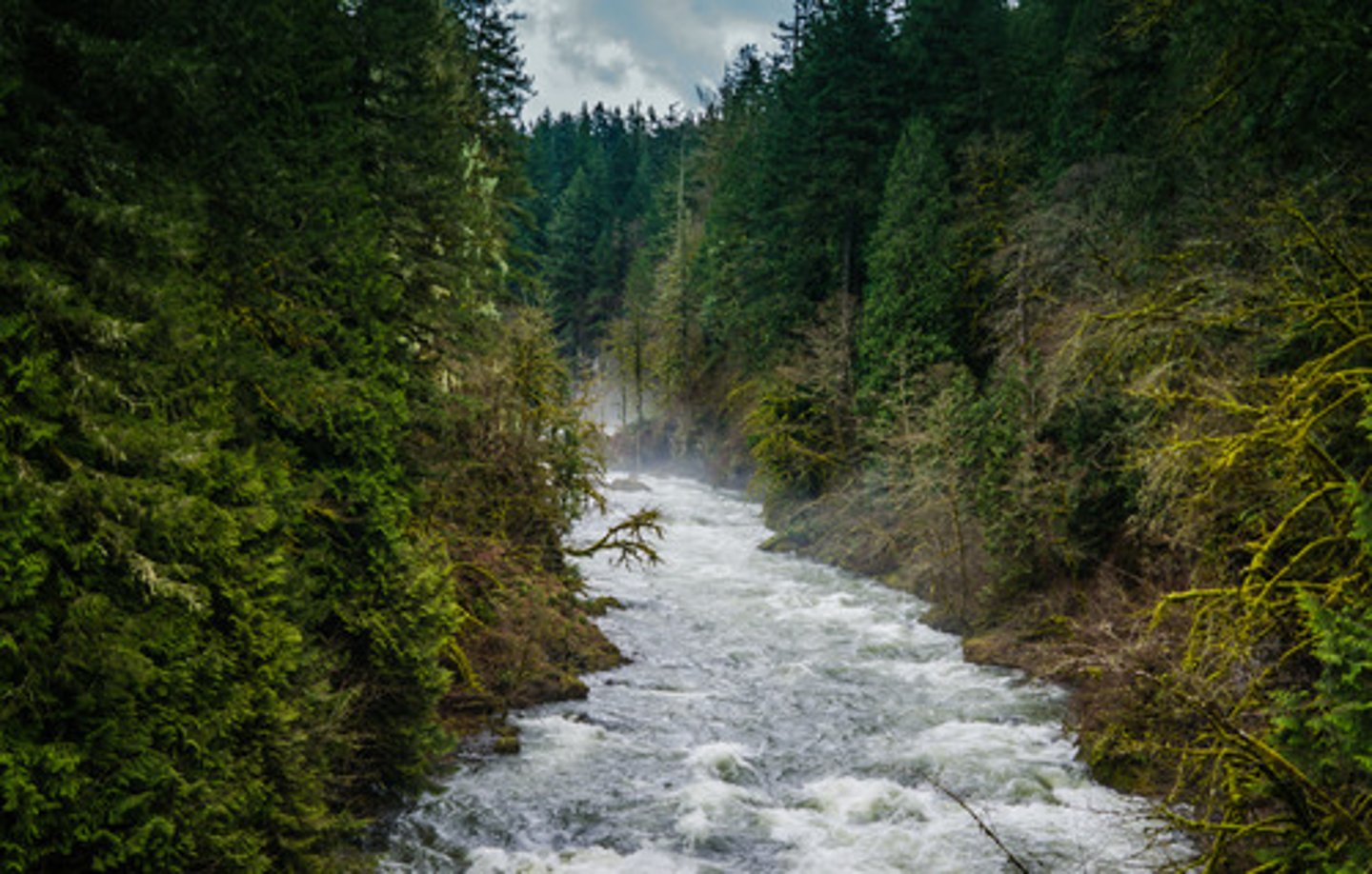 <p>lakes, ponds, rivers, streams and wetlands</p>