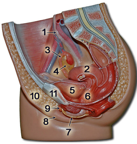 <p>1</p>