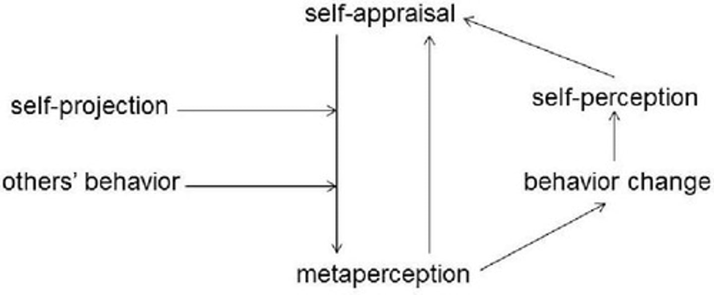 <p>How we believe others perceive us.</p>