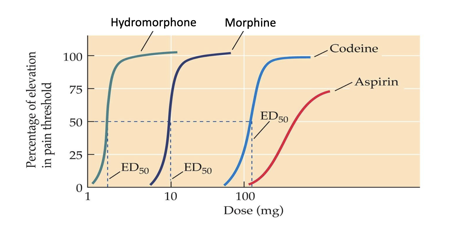 <p>relative potency</p>