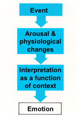 <ol><li><p>Placebo - reported no emotional change.</p></li><li><p>Epinephrine - persons who had no explanation for their physical arousal (i.e., in ignorant &amp; misinformed conditions), looked to their context for an explanation for what they were experiencing</p><ol><li><p>If they were with the happy stooge, they felt happy</p></li><li><p>If they were with the angry stooge, they felt upset</p></li></ol></li></ol>