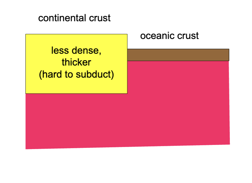 <p>oceanic crust is more dense than continental crust </p>