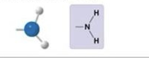 <p>Amino</p>