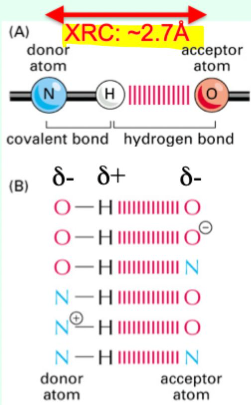 <p><strong>≈ 2.7 Å</strong> (0.27 nm)</p>
