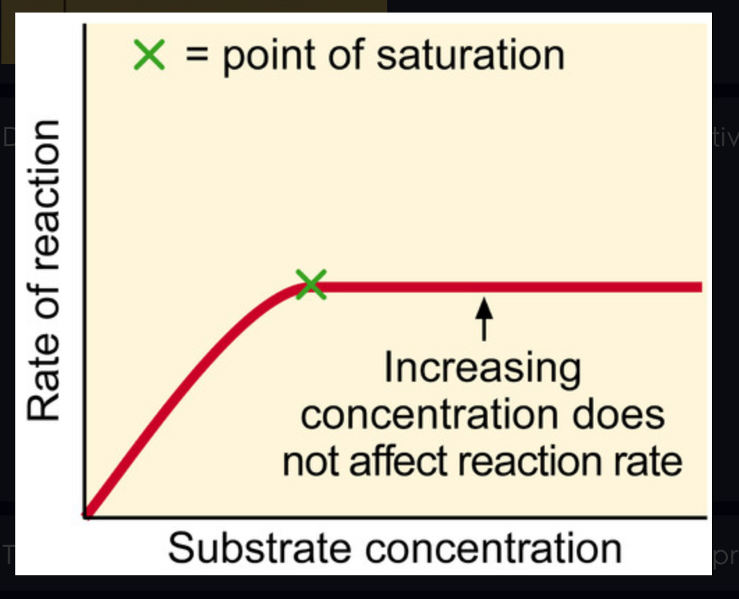 <p>Describes an enzyme's maximum activity when every active site is being used.</p>