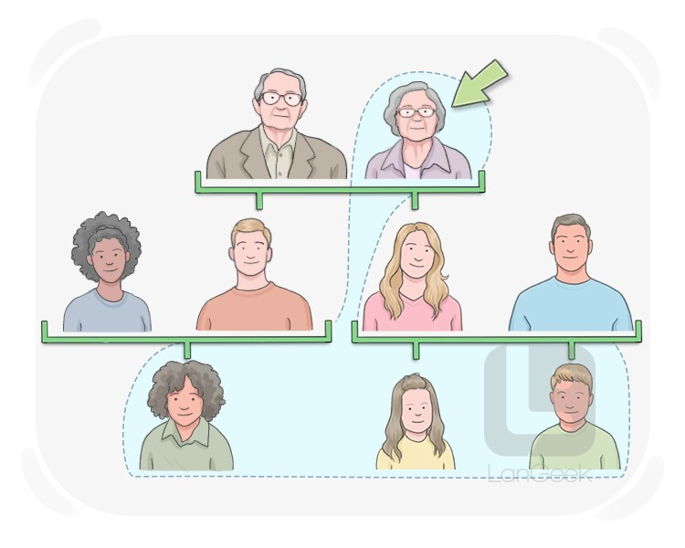 <p>مادربزرگ</p>