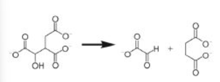 <p>The glyoxylate cycle reaction shown below is catalyzed by which enzyme class?<br>a) lyase<br>b) hydrolase<br>c) transferase<br>d) oxidoreductase</p>