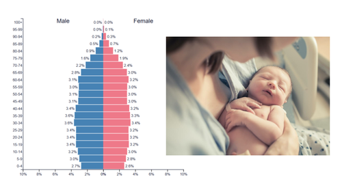 <p>low or stable birth rate</p>