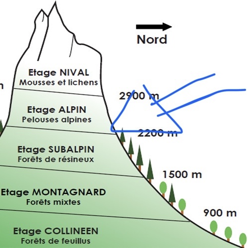 <p>Quel est le nom du versant d’une montagne exposé à l’ombre dans l’hémisphère nord ?</p>