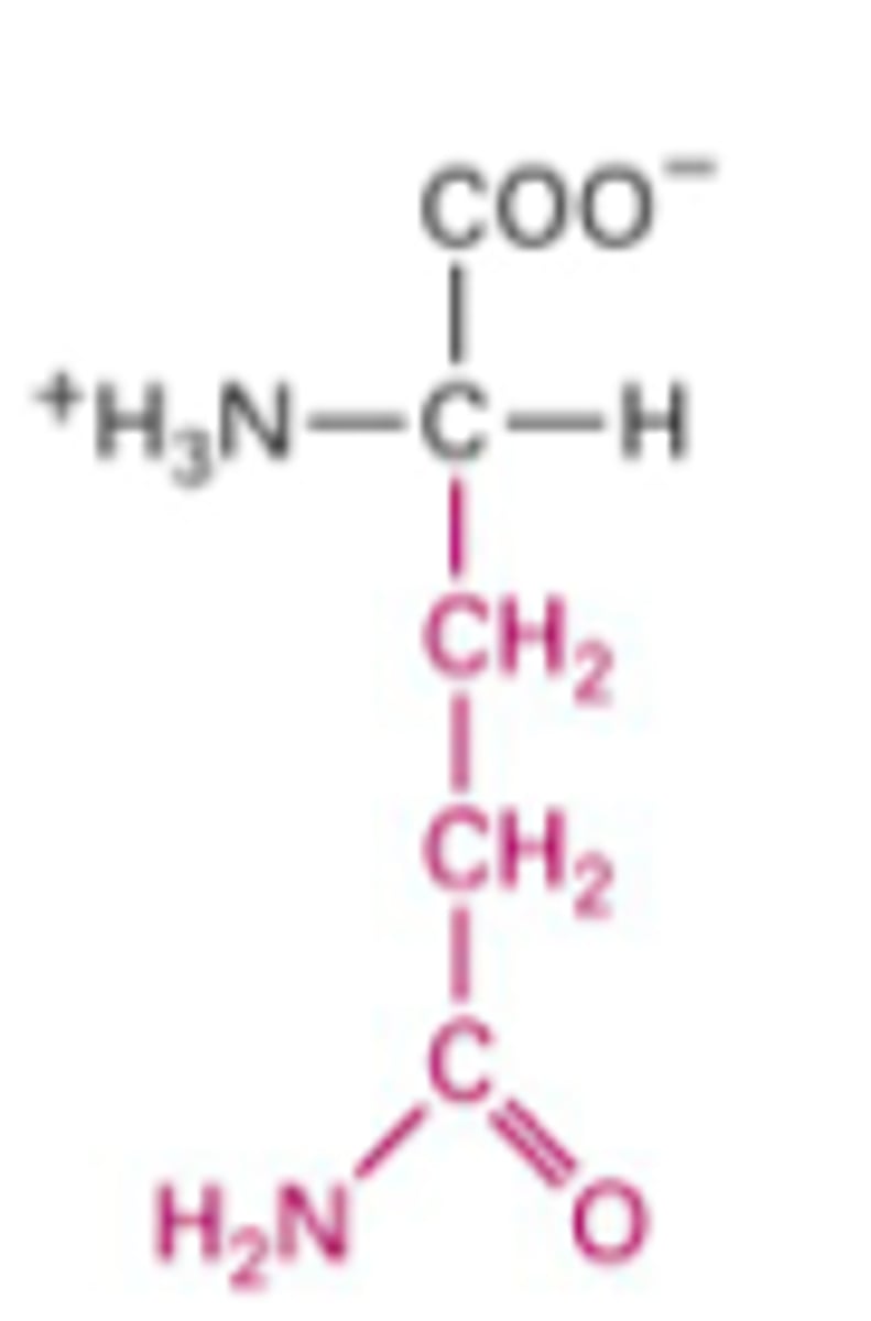 <p>What Structure is this?</p>