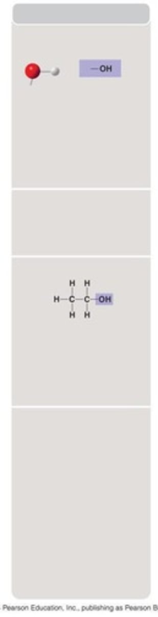 <p>A functional group where a hydrogen atom is bonded to an oxygen atom, which is bonded to a carbon skeleton.</p>