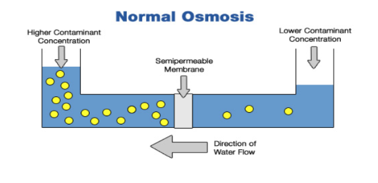 <p>What is osmosis?</p>