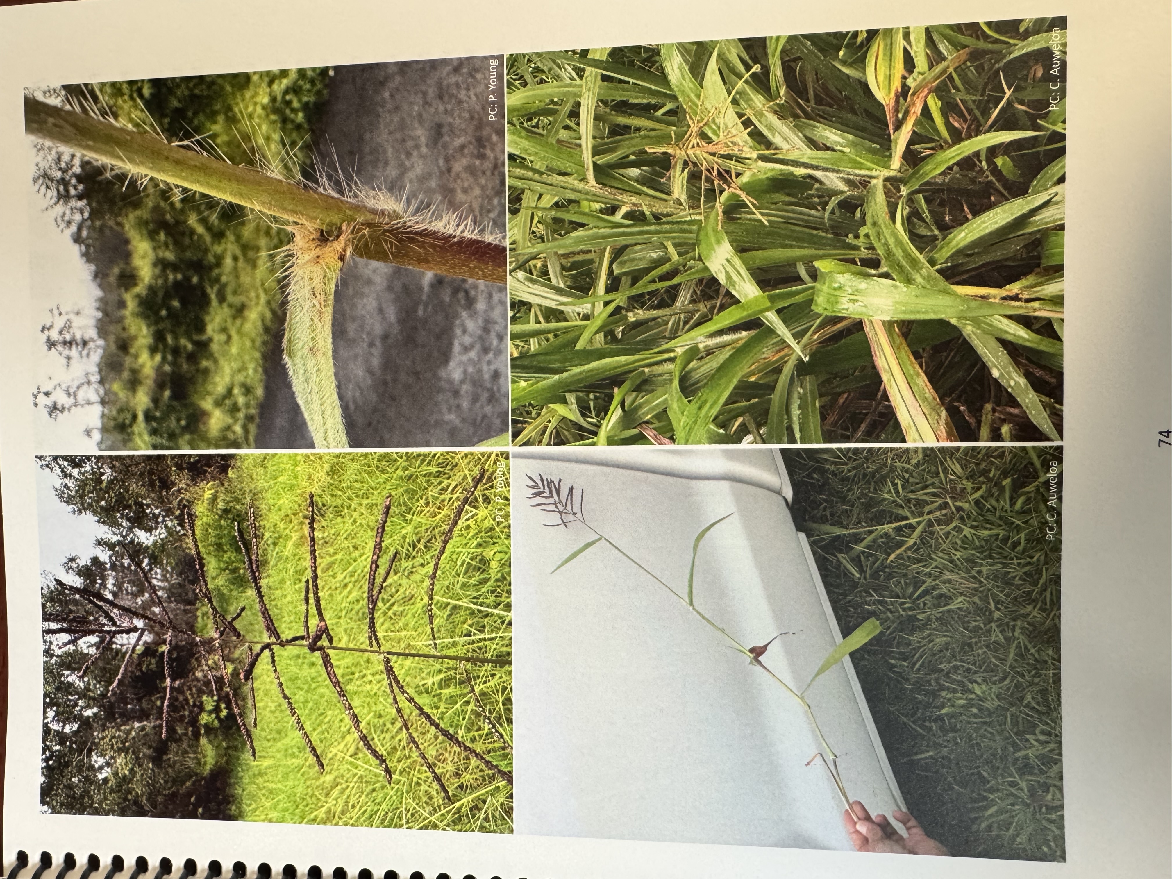 <img src="blob:null/ae604d3f-3d81-4bbe-9478-cc0beeb004f1"><p></p>