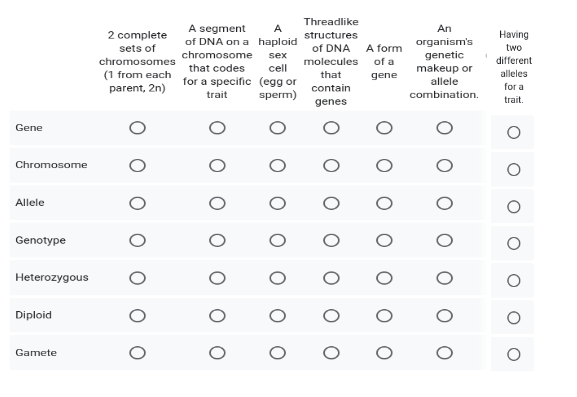 <p><span>Vocabulary: Match the vocabulary term with the correct definition.</span></p>