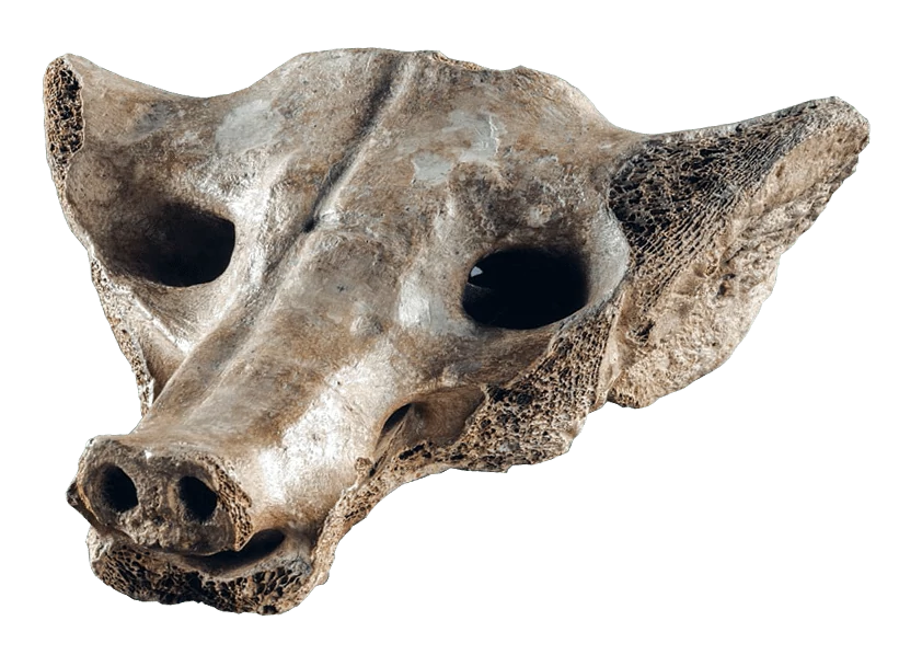 <p>3</p>