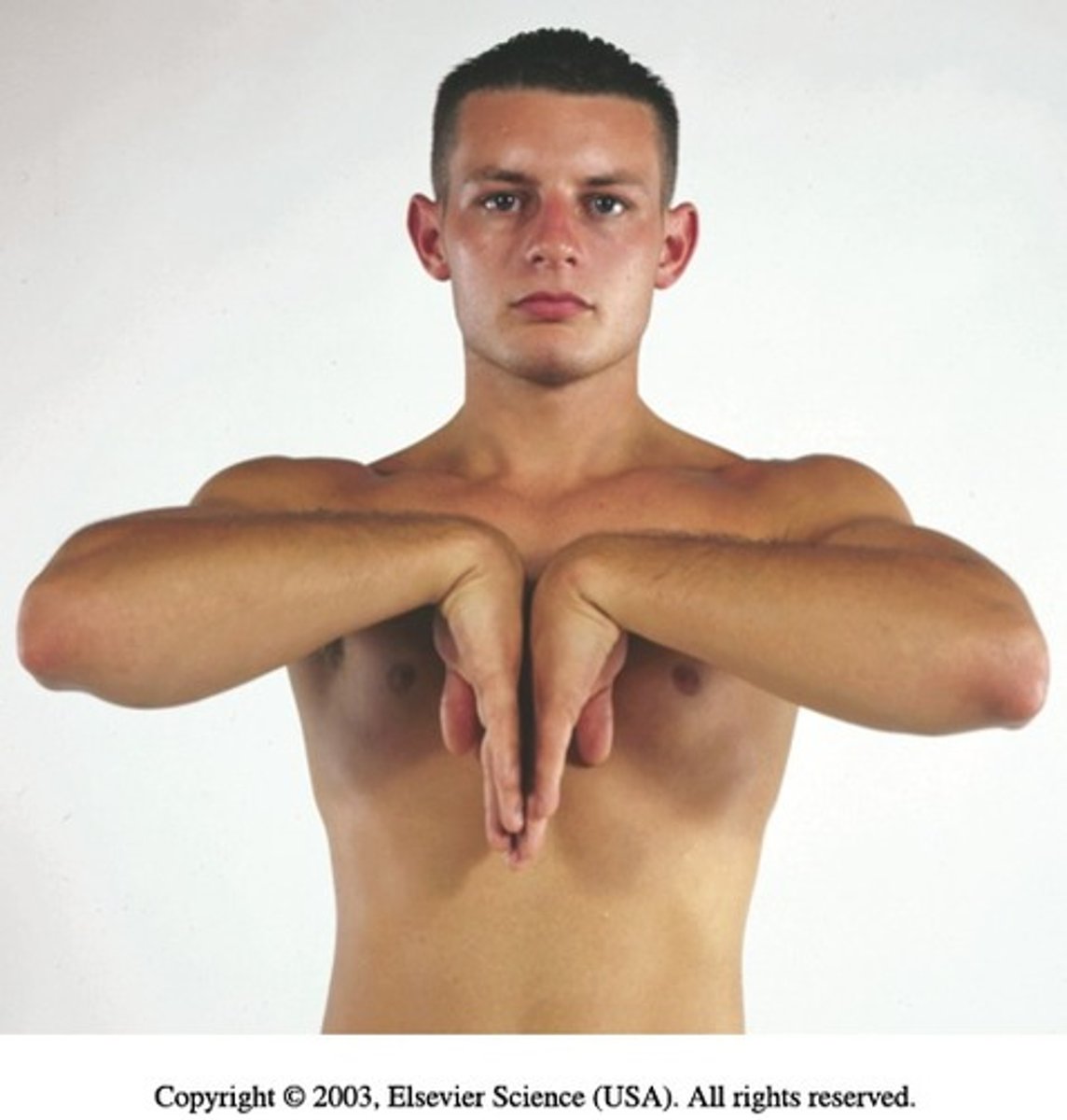 <p>hold back of hands to each other flexing wrists 90 degree angle</p><p>-if feel numbness/burning= carpal tunnel</p><p>-no symps=normal</p>