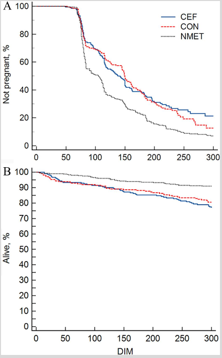 <p>- ceftiofur </p><p>- better </p><p>- pregnancy or culling </p>