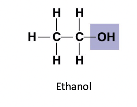 <p><mark data-color="red">Alcohols</mark></p><ul><li><p>Names end in -ol</p></li><li><p>Polar ( hydrophilic )</p></li><li><p>Forms hydrogen bonds with water molecules ( dissolve in water )</p></li></ul>