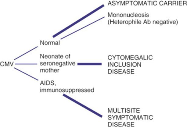 <p>What is the common presentation of <strong>CMV disease</strong> in the general population?</p>
