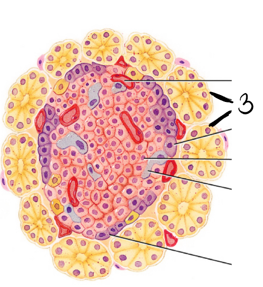<p>3</p>