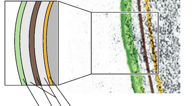 <p></p><p>What is this a photo of?</p>