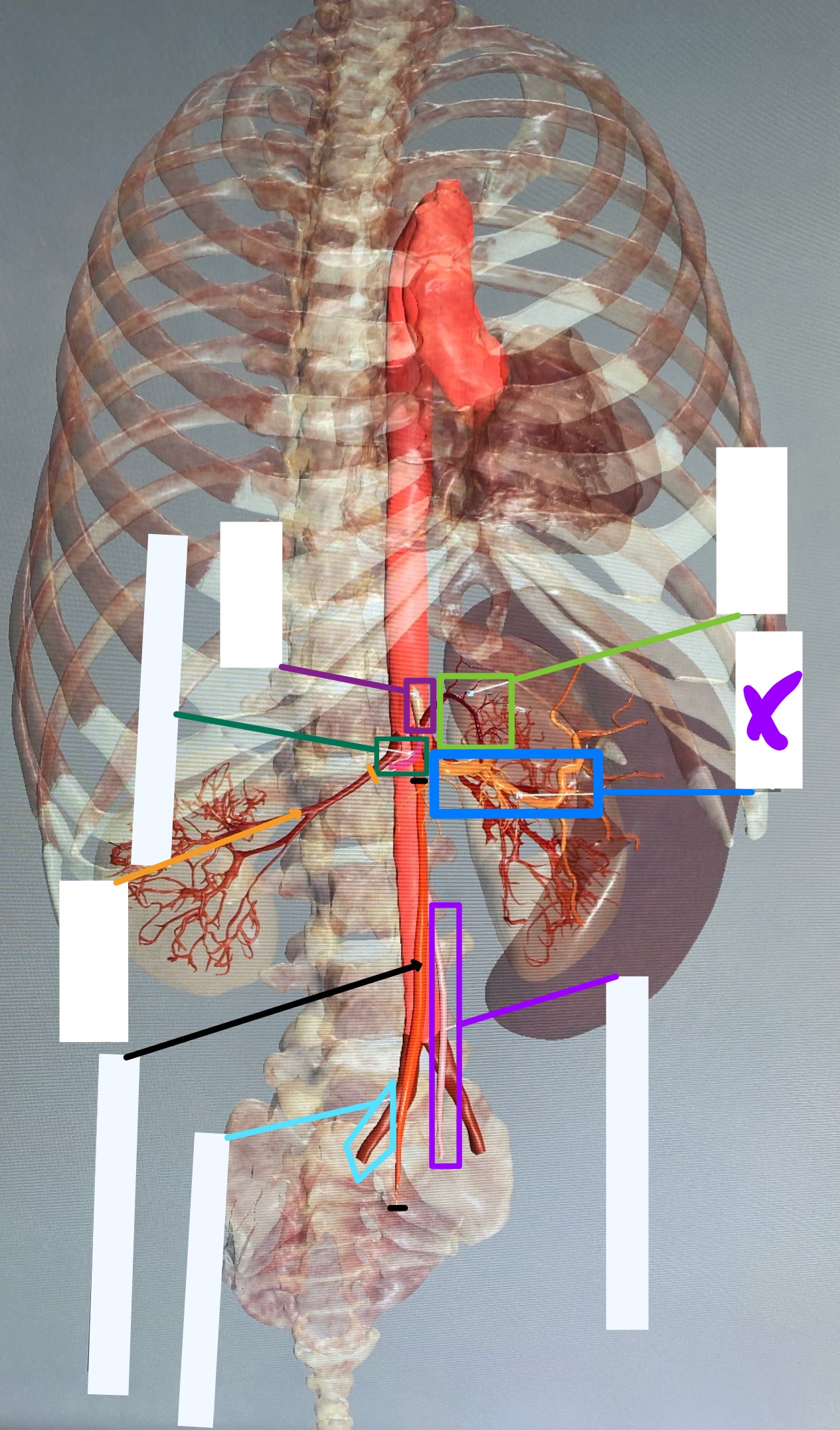 knowt flashcard image