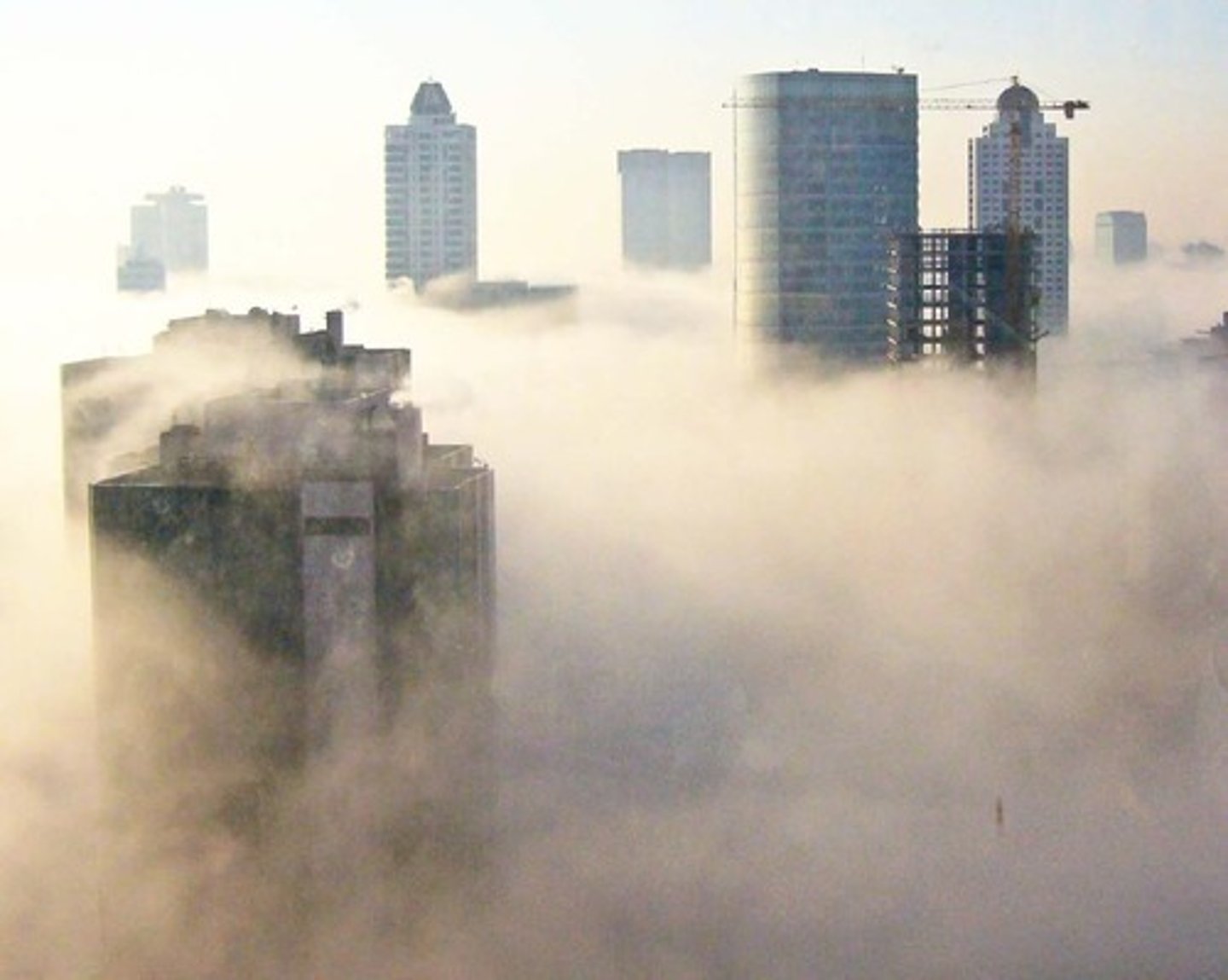 <p>Fog</p>