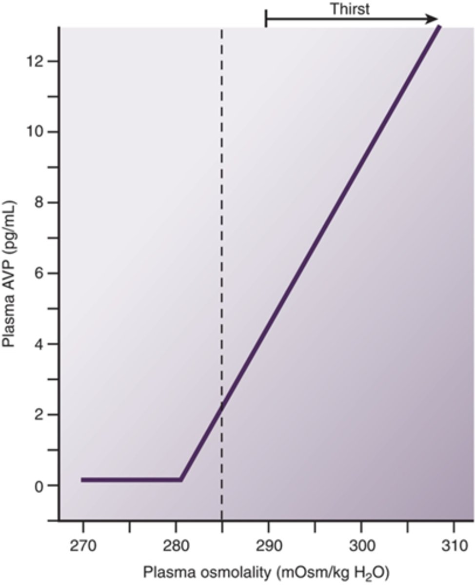 <p>as osmolality increases ADH increases (causing thirst)</p>