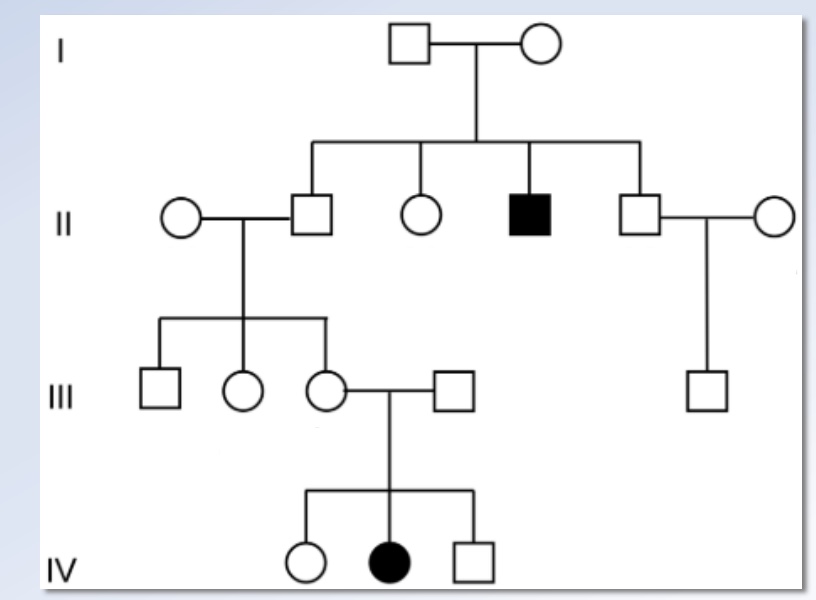 <p>This pattern shows a <strong>recessive inheritance</strong>. The disorder skipped generation I because the great-grandparents were <strong>carriers</strong>, and it only appeared in generation II when both passed on the recessive allele.</p>