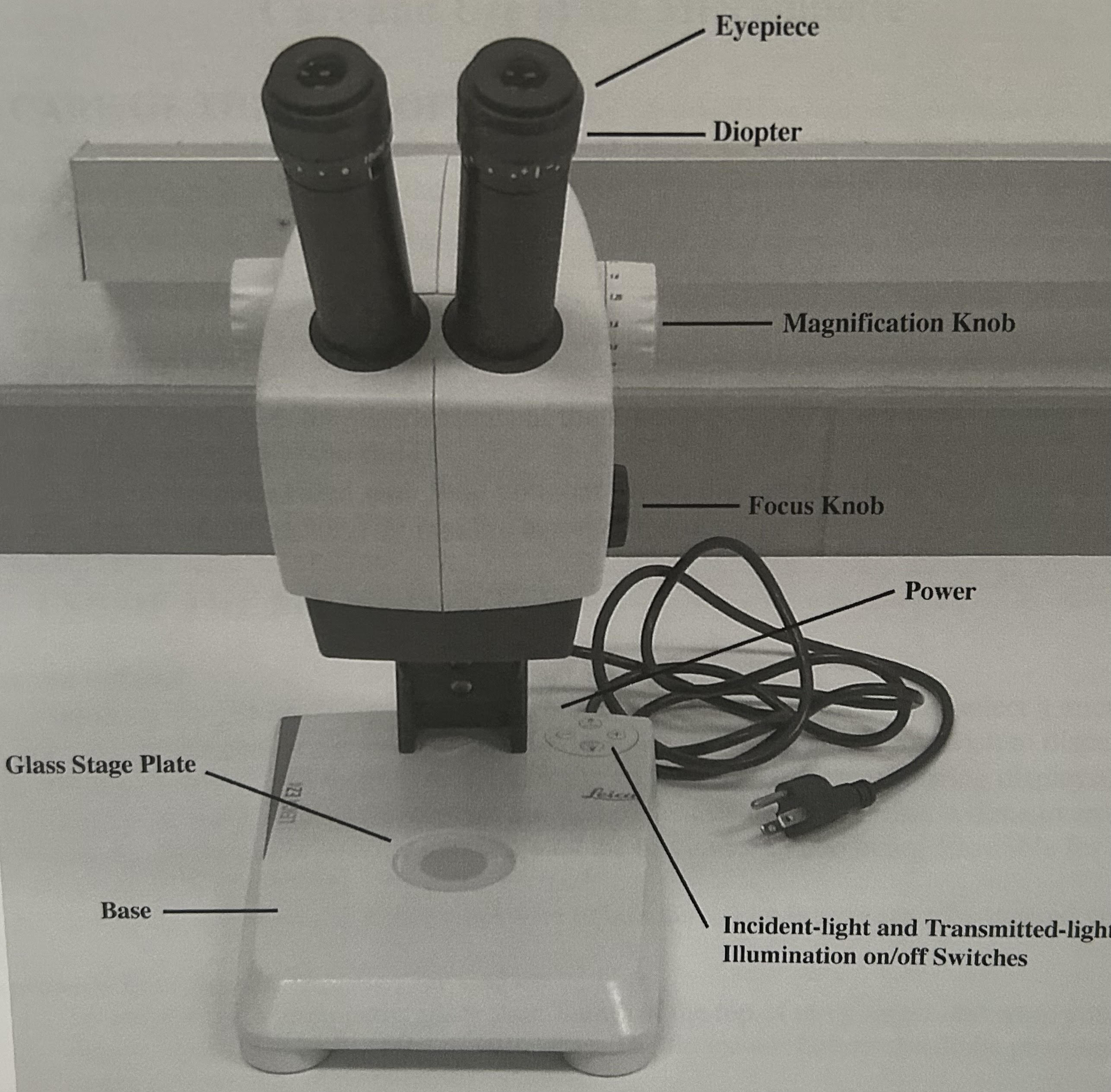 <p>                                                                      Dissecting Microscope</p>