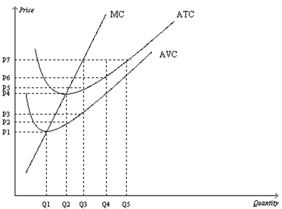 Suppose a firm in a competitive market has the following cost curves. In the short run, if the market price is higher than P4 but less than P6, individual firms in a competitive industry will earn