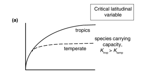 <ul><li><p>Negative feedback of standing diversity on diversification and or immigration. e.g. as diversity increases rates of speciation slow down or rates of extinction increase</p></li><li><p>The tropics can support more species at equilibrium</p></li><li><p>Equilibrium model.</p></li><li><p>Mittlebach et al 2007</p></li></ul><p></p>