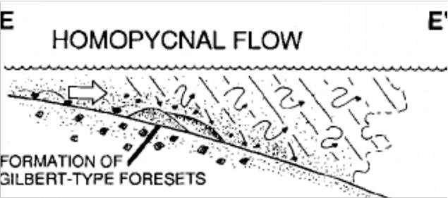 <p><span>When </span>ρ jet = ρ ambient</p><p><span>Jet expands and decelerates rapidly in 3D, but remains in contact with the bed</span></p><p><span>Rapid deposition of bedload and suspended load</span></p><p><span>Choking of the river mouth and rapid switching and migration of the distributary → Radial ‘fan‘ deltas</span></p>