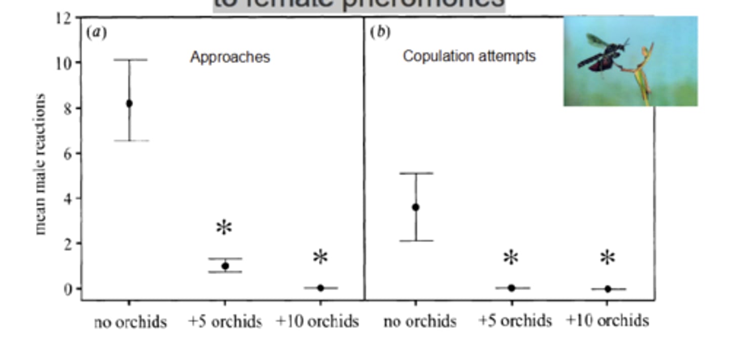 <p>results in reduced sensitivity to female pheromones</p>