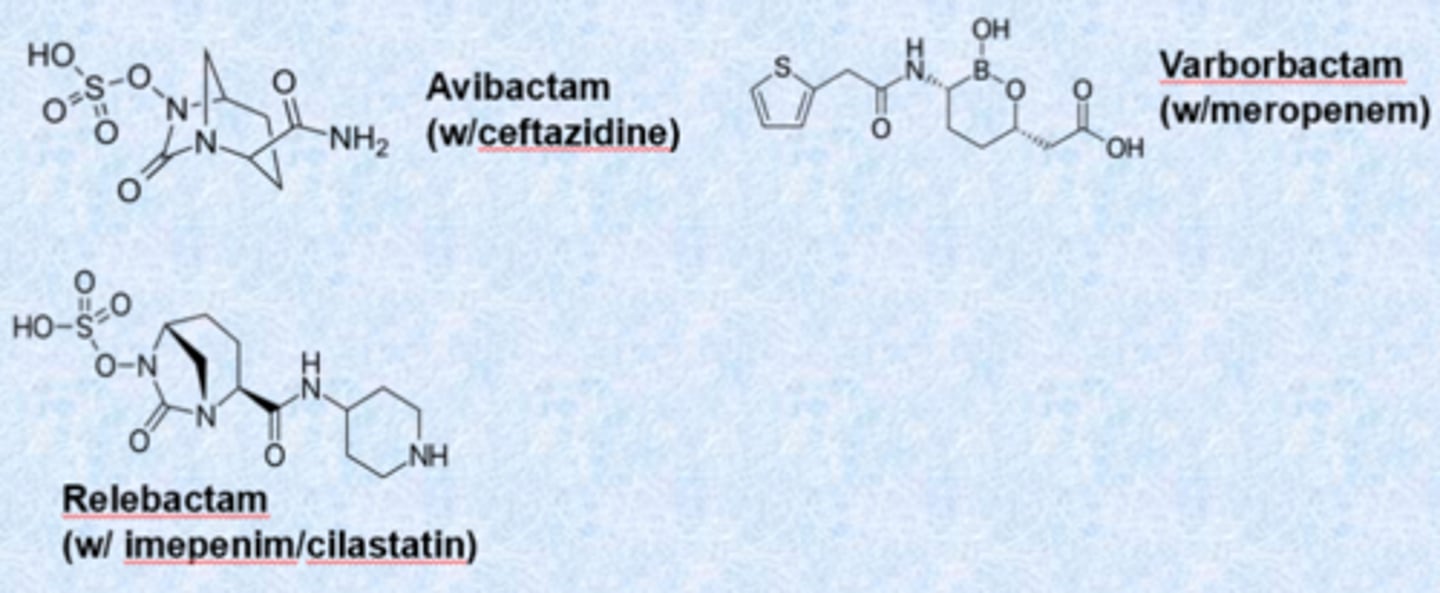 <p>- spectrum of coverage is the same just protecting from b-lactamase</p>
