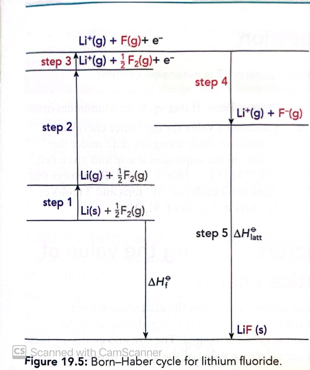 knowt flashcard image