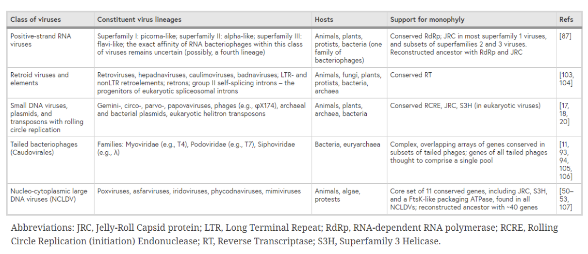 <p>Explain <strong>5 major monophyletic virus classes </strong>+ support for monophyly</p>