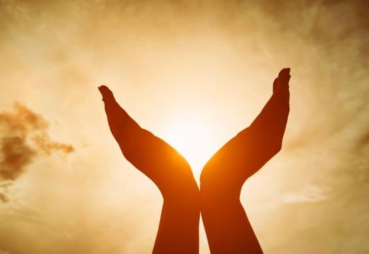 <p>Gratitude</p>