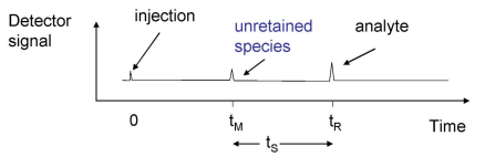 <p>The sample is injected at time 0.</p><ul><li><p>t<sub>M</sub>&nbsp;represents the unretained species that doesnt interact with the column at all, also called void time.</p></li><li><p>t<sub>R</sub>&nbsp;represents the retention time of the analyte.</p></li><li><p>t<sub>S</sub>&nbsp;is the time between t<sub>M</sub>&nbsp;and t<sub>R</sub>, it represents the strength of the interaction between the sample and the stationary phase.</p></li></ul><p></p>