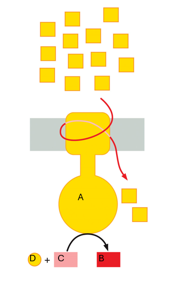 <p>What is B?</p>