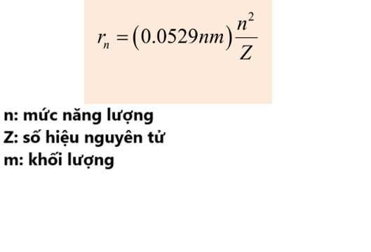 <p>D</p>