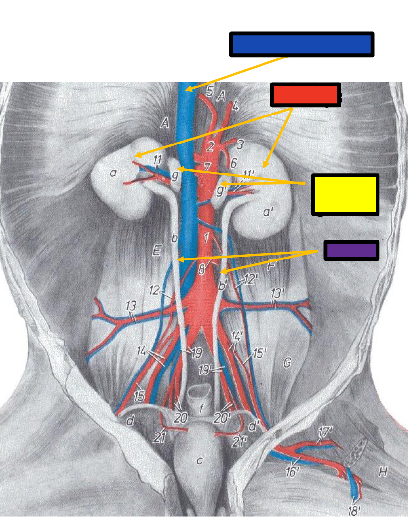 <p>What does the yellow box refer to?</p>